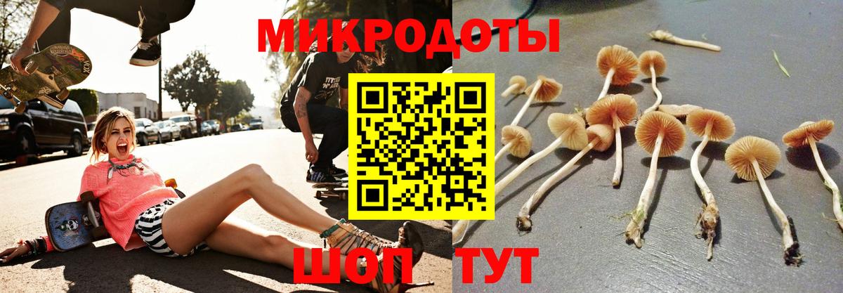 продажа наркотиков  Псилоцибиновые грибы прущие грибы  Вход с VPN  Тулун 